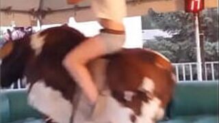 группа задниц - порно видео